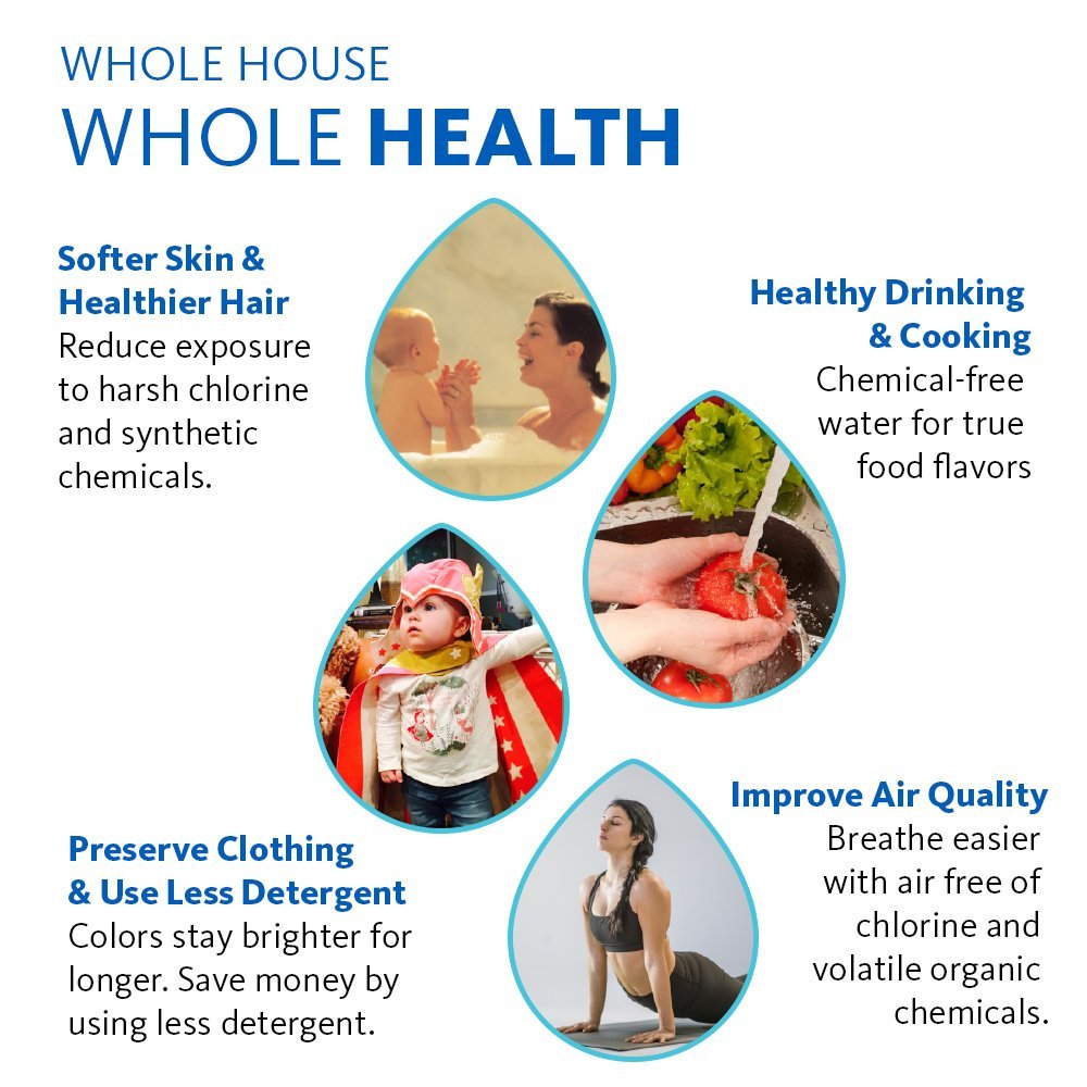 Austin Springs 10-Year 1 Million Gallon Whole House Water Filter with Salt-Free Conditioner